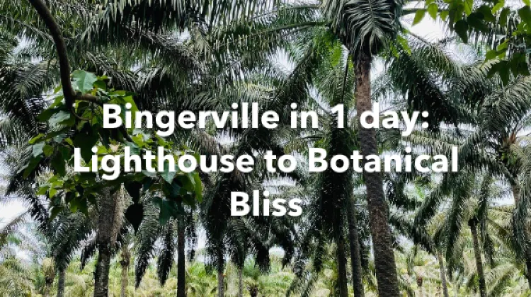 Bingerville 1 Day Itinerary