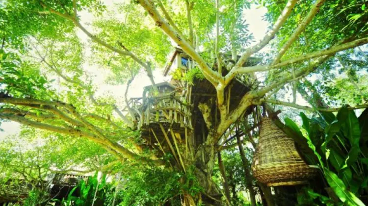 สถานที่ท่องเที่ยว