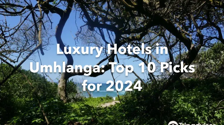 Luxury Hotels in Umhlanga: Top 10 Picks for 2024