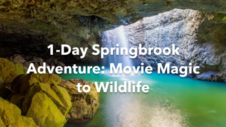 Springbrook 1 Day Itinerary