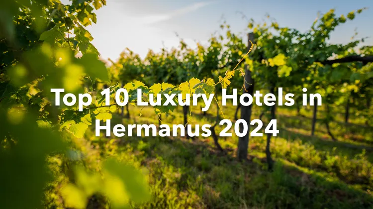 Top 10 Luxury Hotels in Hermanus 2024