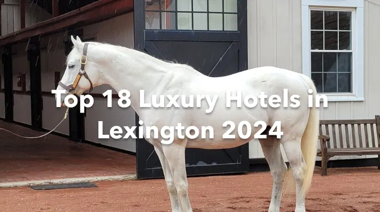Top 18 Luxury Hotels in Lexington 2024