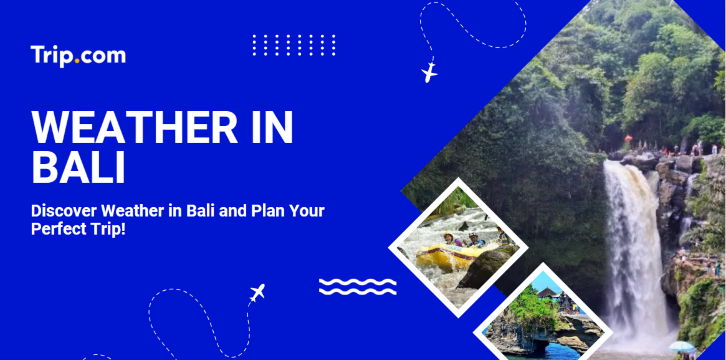 Weather In Bali