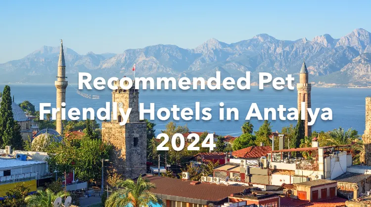 Recommended Pet Friendly Hotels in Antalya 2024