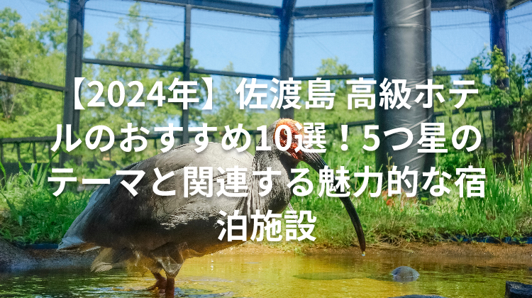 【2024年】佐渡島 高級ホテルのおすすめ10選！5つ星のテーマと関連する魅力的な宿泊施設