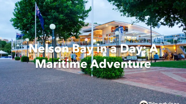 Nelson Bay 1 Day Itinerary