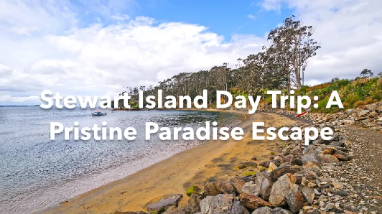 Stewart Island 1 Day Itinerary