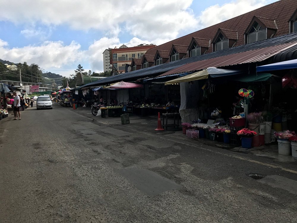 overview of the market