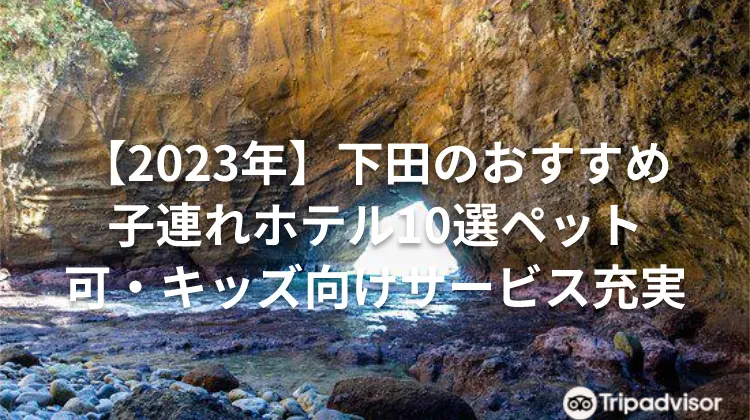 【2023年】下田のおすすめ子連れホテル10選ペット可・キッズ向けサービス充実
