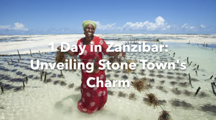 Zanzibar 1 Day Itinerary