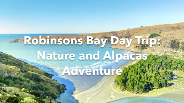 Robinsons Bay 1 Day Itinerary