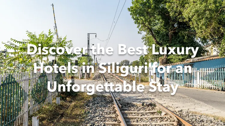 Discover the Best Luxury Hotels in Siliguri for an Unforgettable Stay