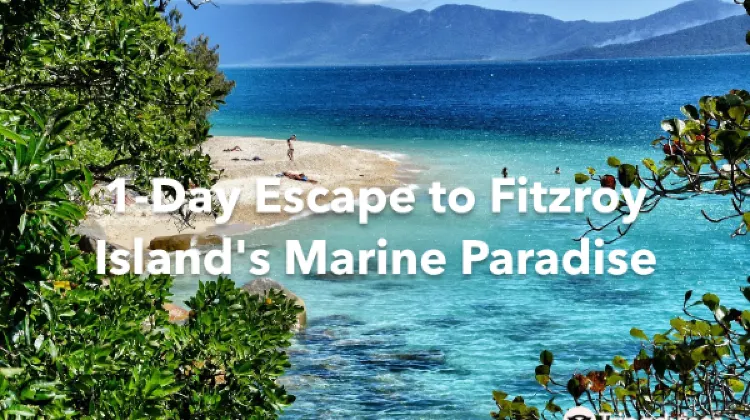 Fitzroy Island 1 Day Itinerary