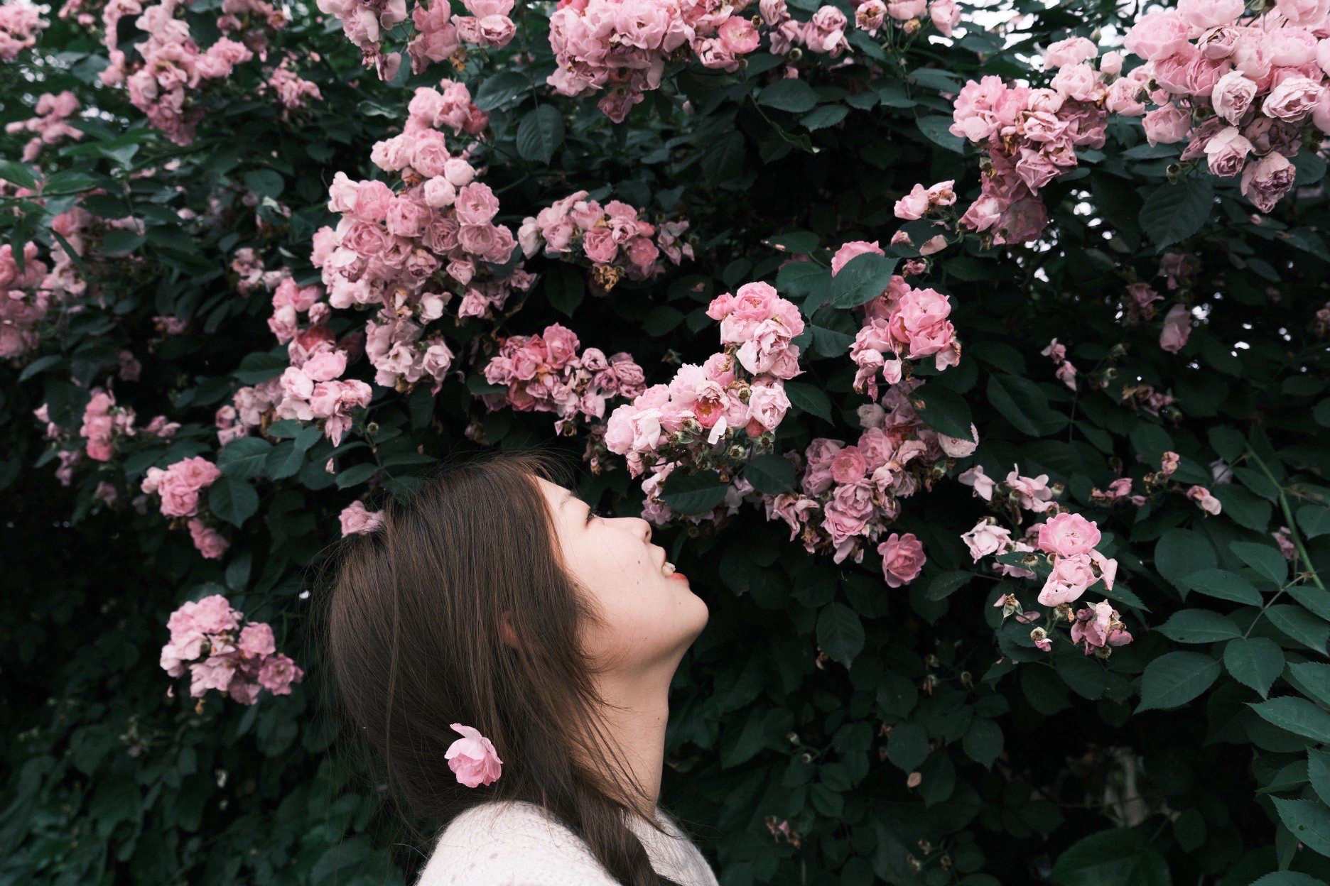 Author's Profile Picture