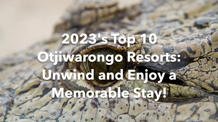 2023's Top 10 Otjiwarongo Resorts: Unwind and Enjoy a Memorable Stay!