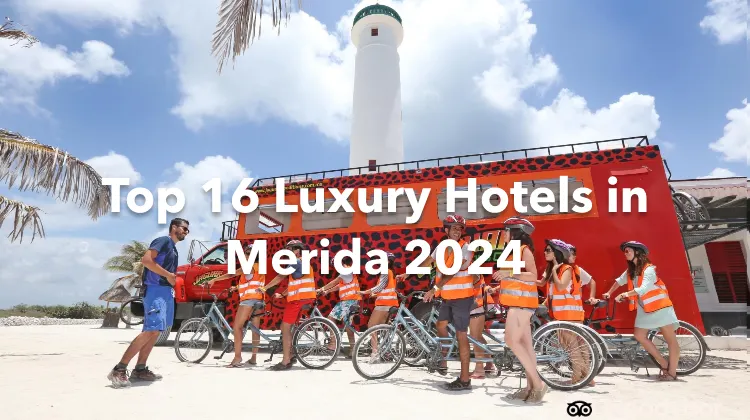 Top 16 Luxury Hotels in Merida 2024