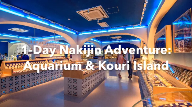 Nakijin 1 Day Itinerary