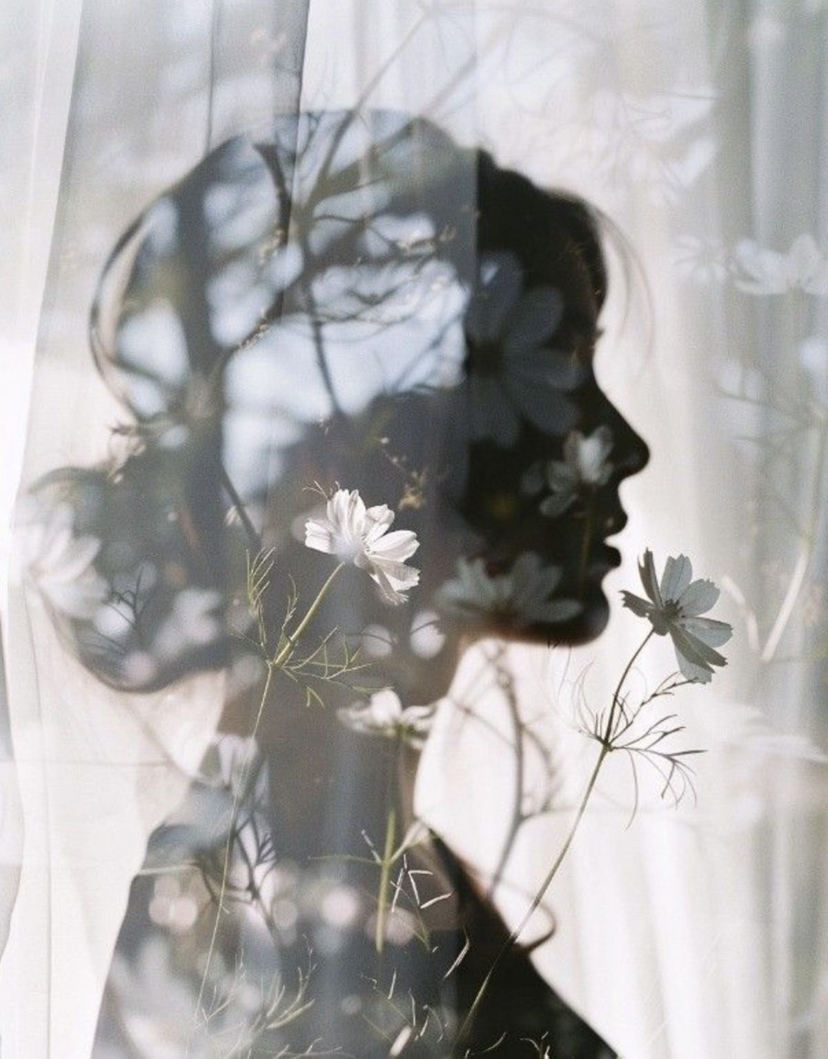 Gambar Profil Penulis