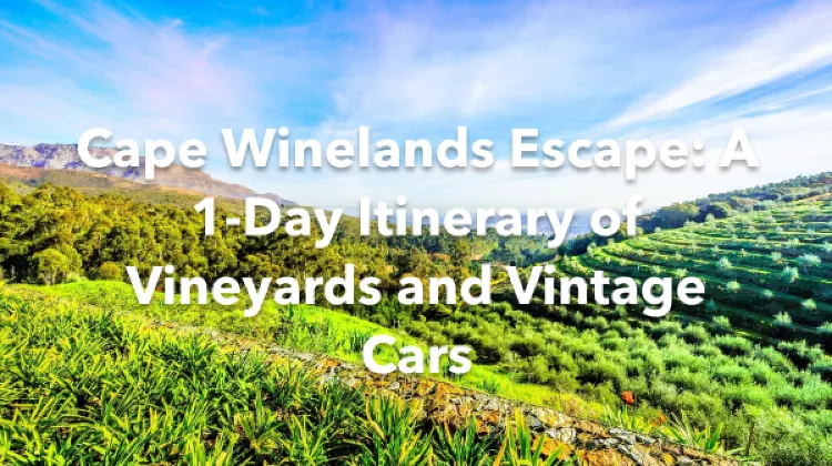 Cape Winelands 1 Day Itinerary