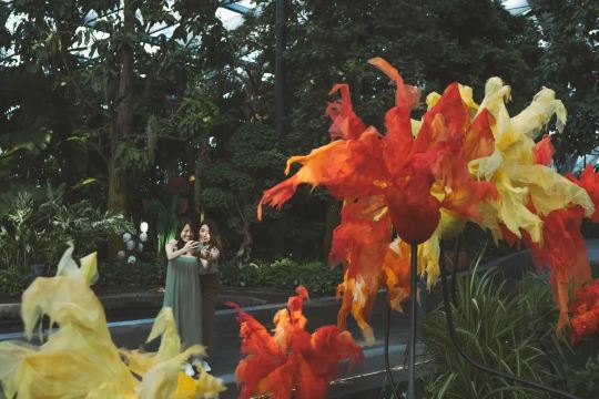 森林谷