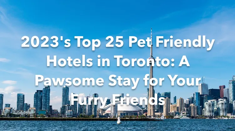 5 of the best pet-friendly hotels in Toronto for a paw-some getaway