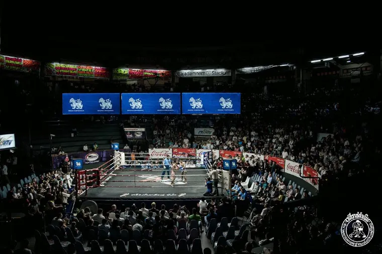 キックボクシングとの違い