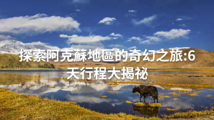阿克蘇地區 6日5夜 行程規劃