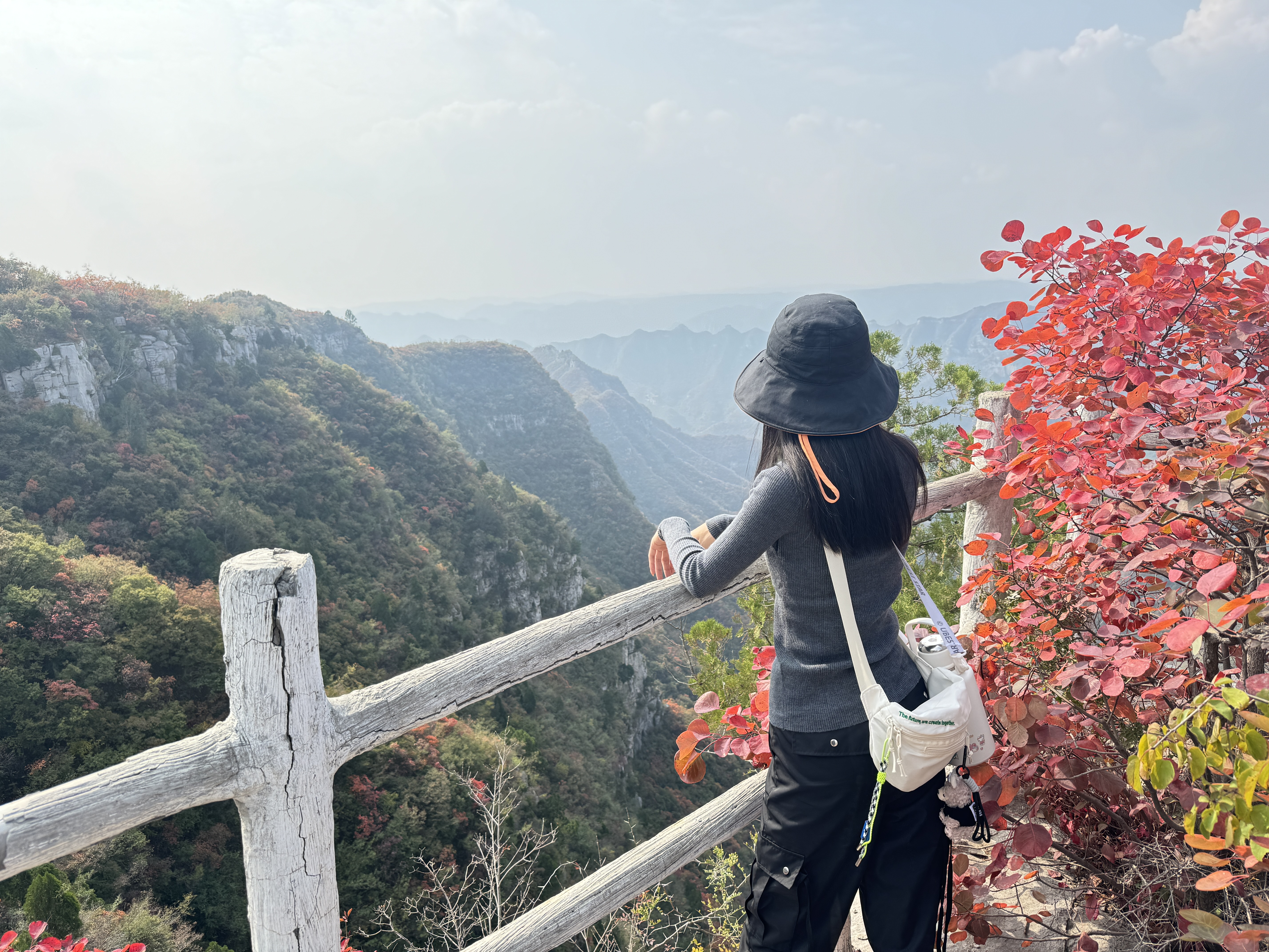 Author's Profile Picture