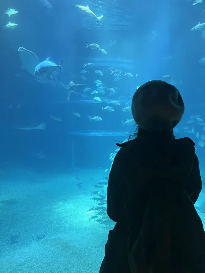 大阪水族館