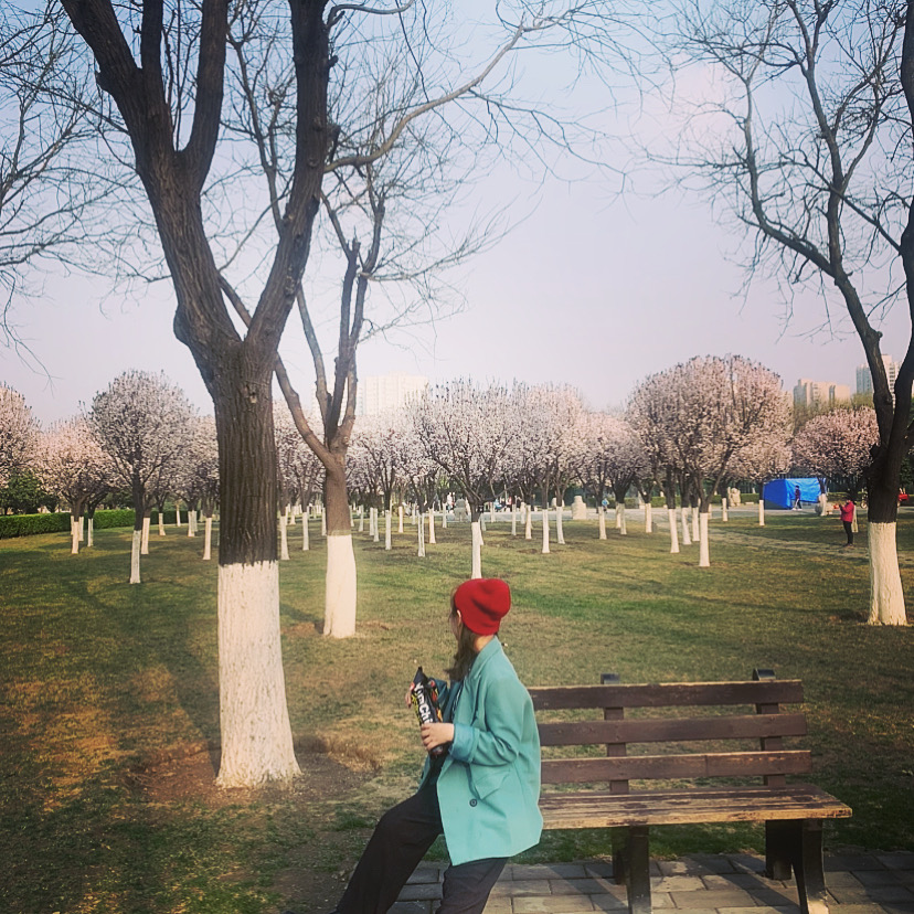 Gambar Profil Penulis