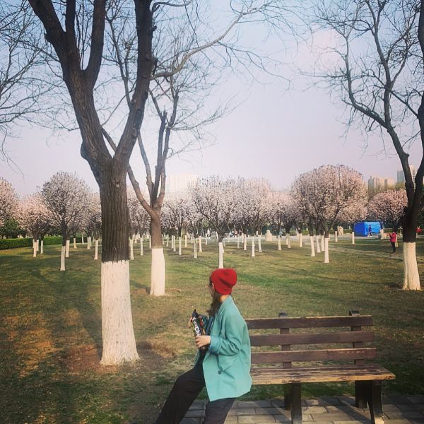 Gambar Profil Penulis