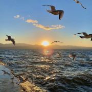 我和深海有个约会