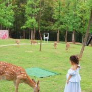 转转的旅行日记