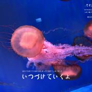 杭州长乔极地海洋公园