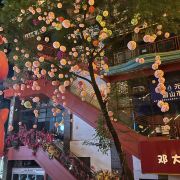 王依晗体验旅行