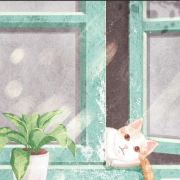 小坤师兄的筋斗云