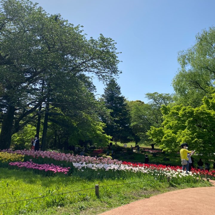[东京]春夏花卉观赏在国营秀和纪念公园!