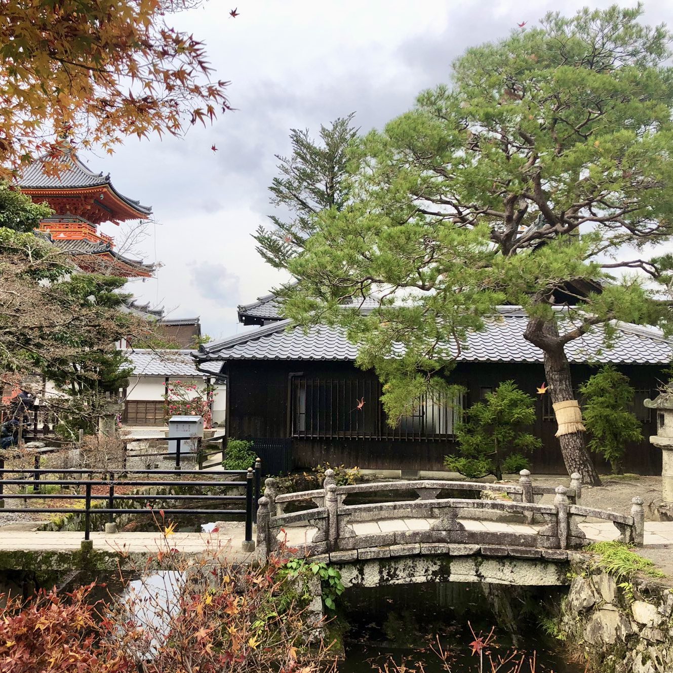 可以感受到日本感性的清水寺🇯🇵🎏