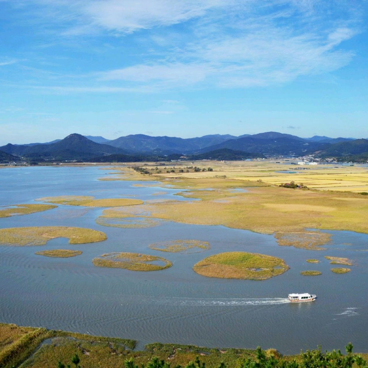 全南顺天湾湿地,日落景点满是芦!