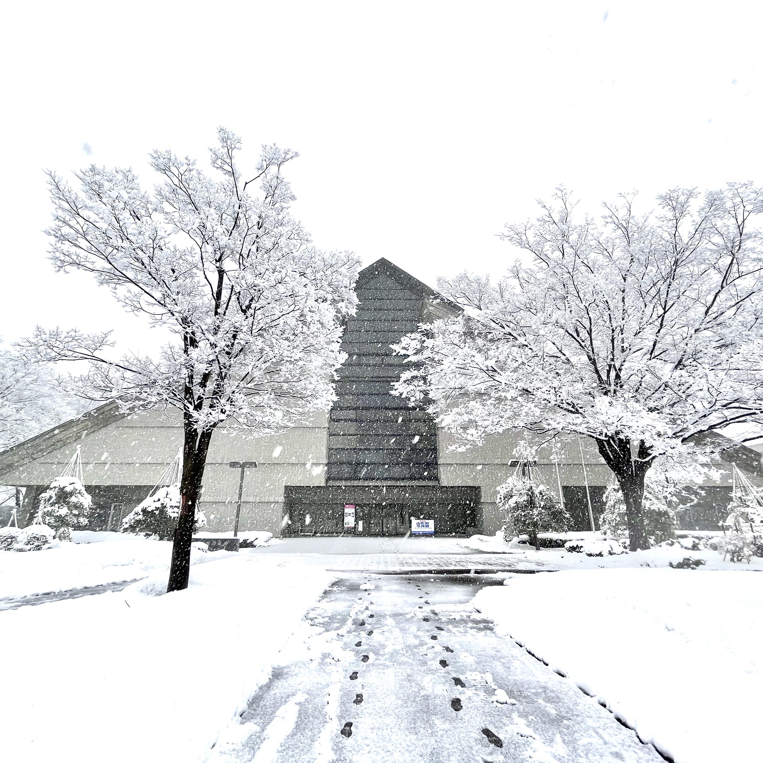 [山形] 下雪的山形美术馆🖼毕加索等著名画家的作品也将展出