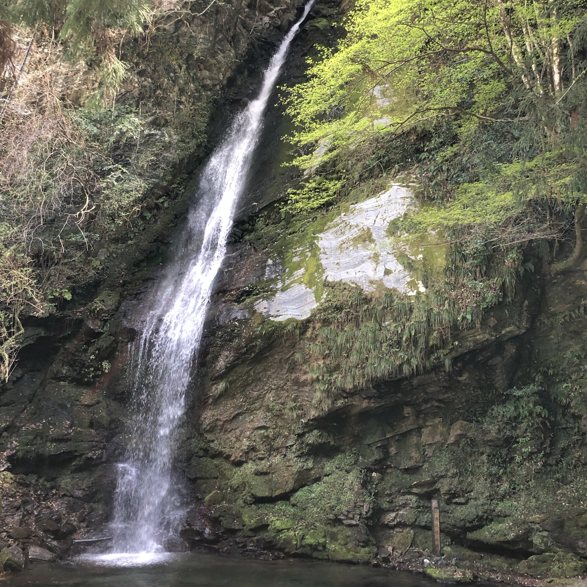 位于德岛县秘境的“琵琶瀑布”