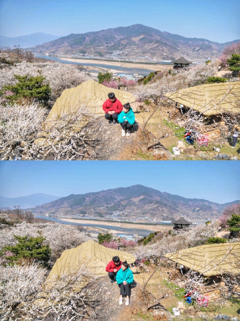 美丽的梅花,如雪花般的白色,光阳梅花村🌸