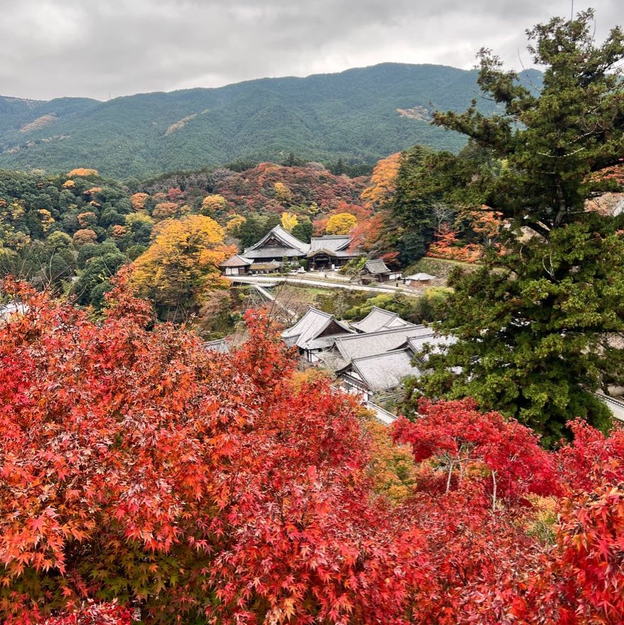 【奈良】赏红叶的古寺