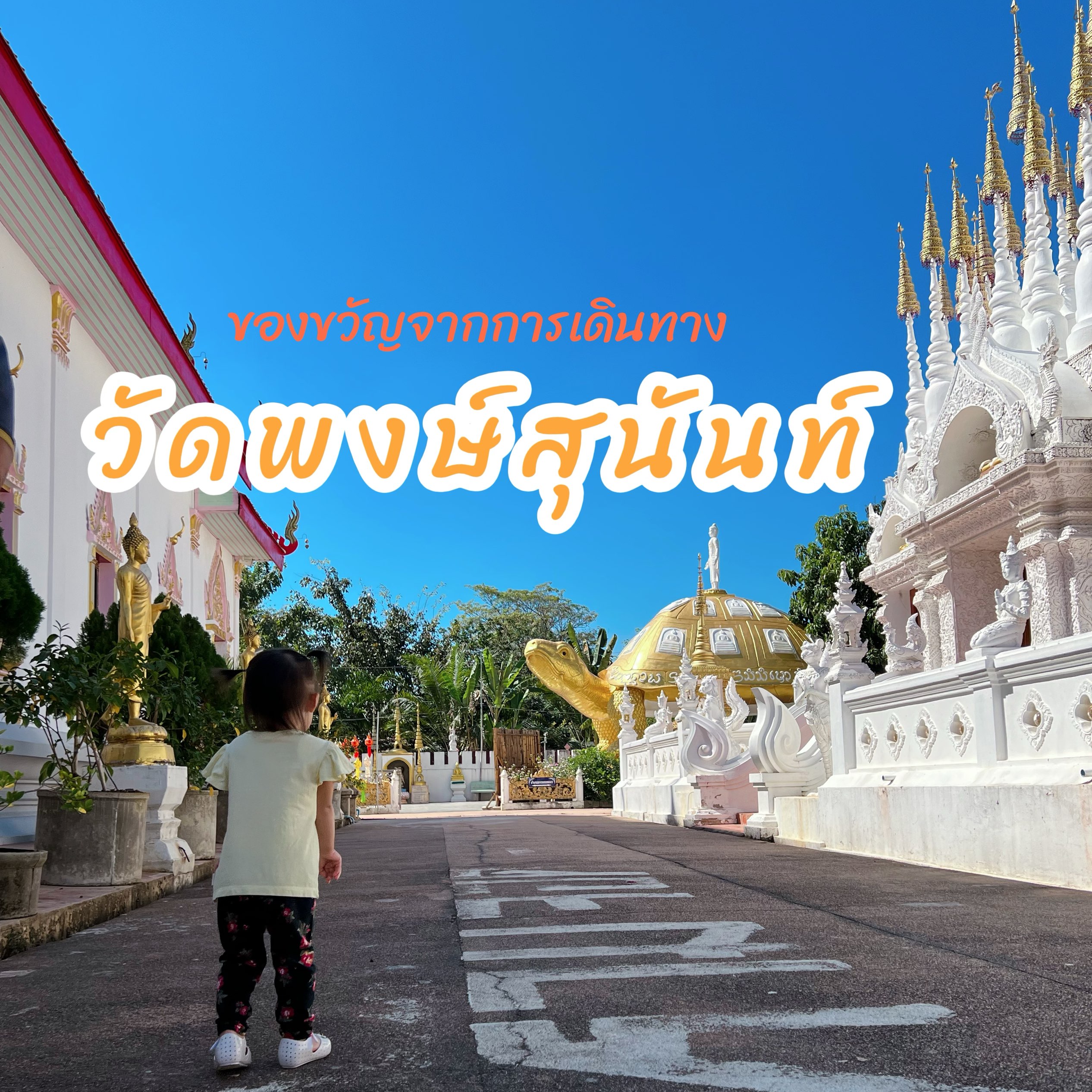 Wat Pong Sunan, 帕