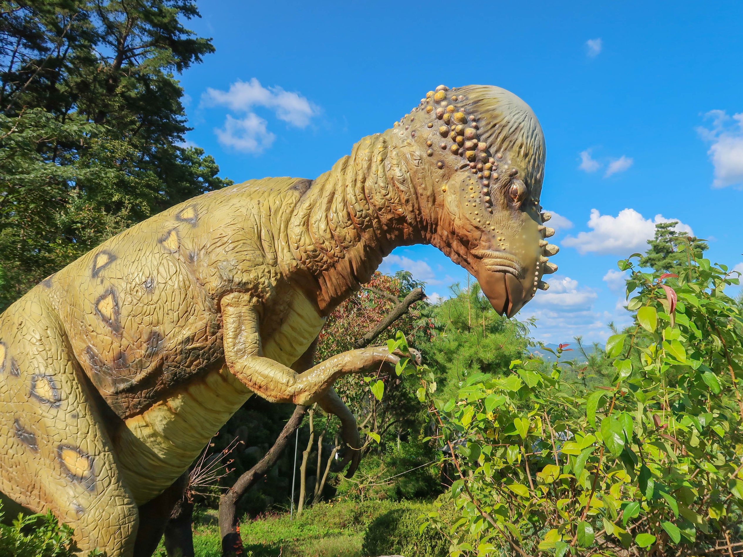 韩国版侏罗纪世界“德平恐龙植物园”