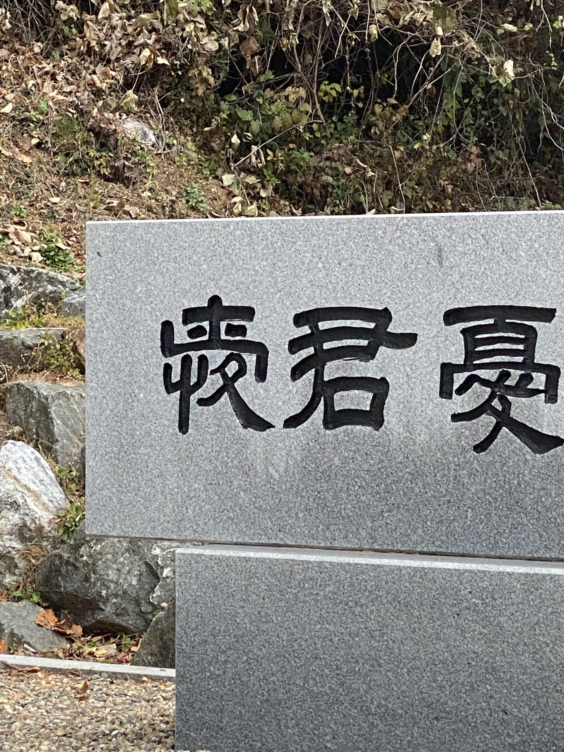 我国最大的银杏树杨平龙门寺