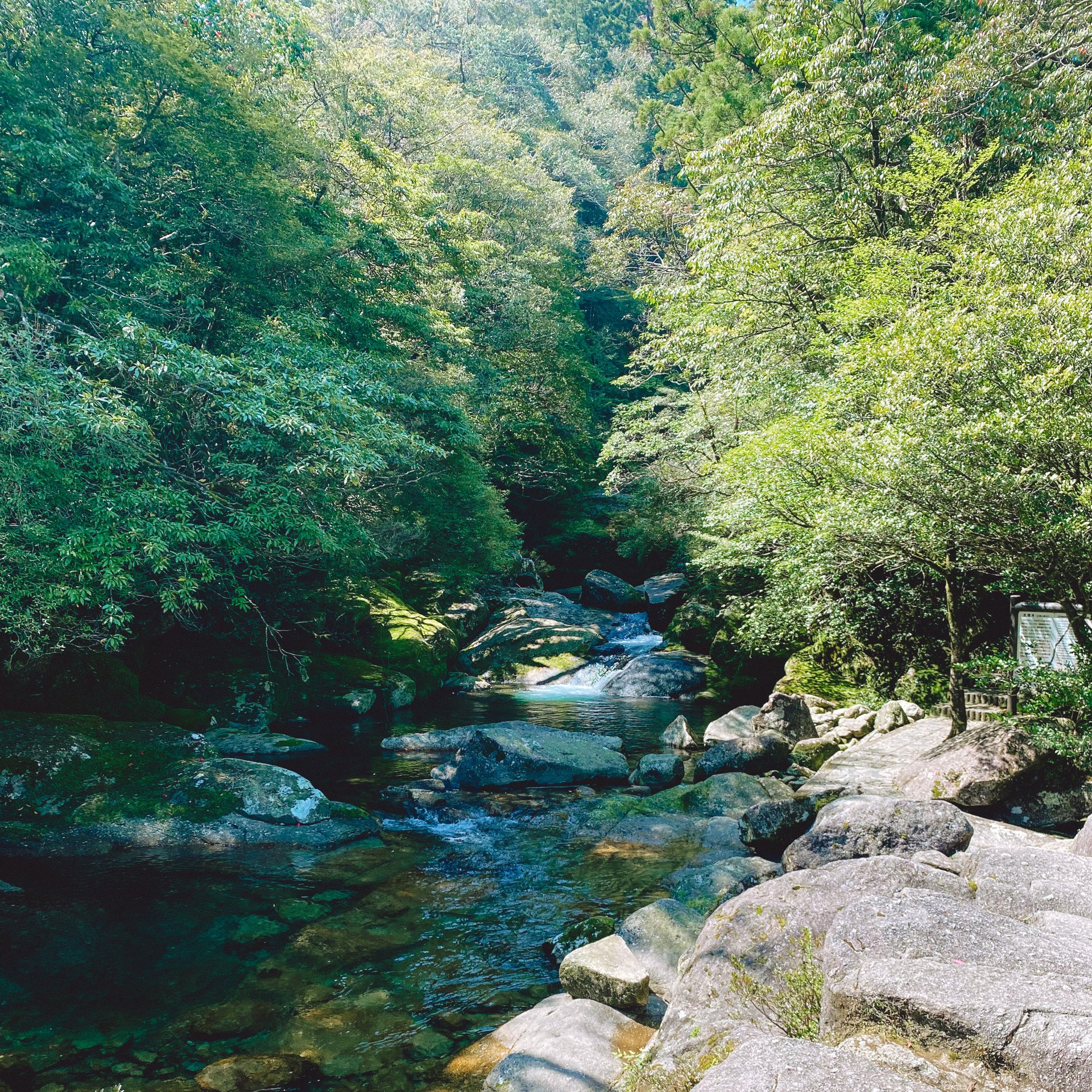 【屋久岛】白谷云水峡