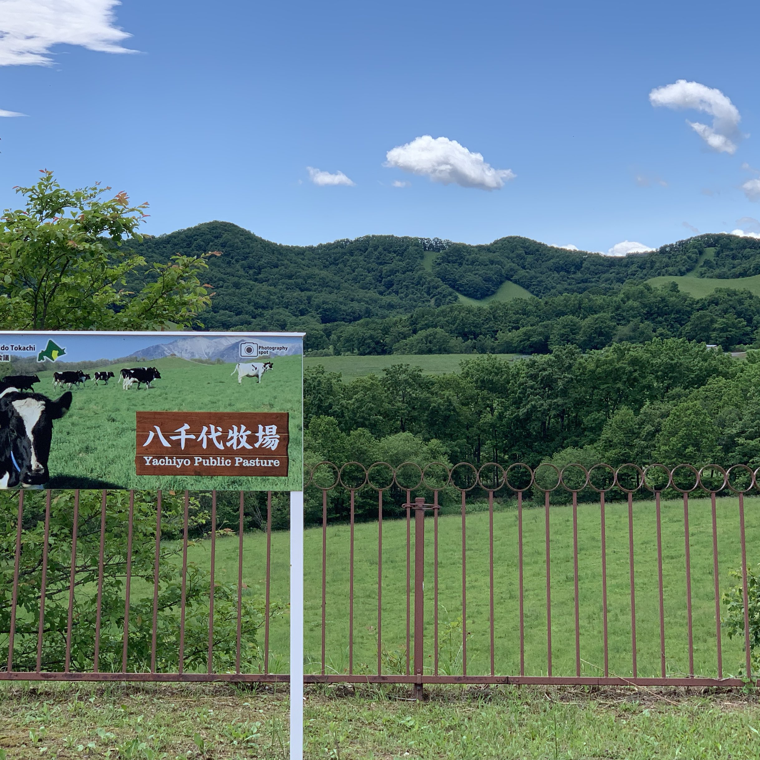 广阔的大地一览😄在八千代牧场享受北海道的景色👍