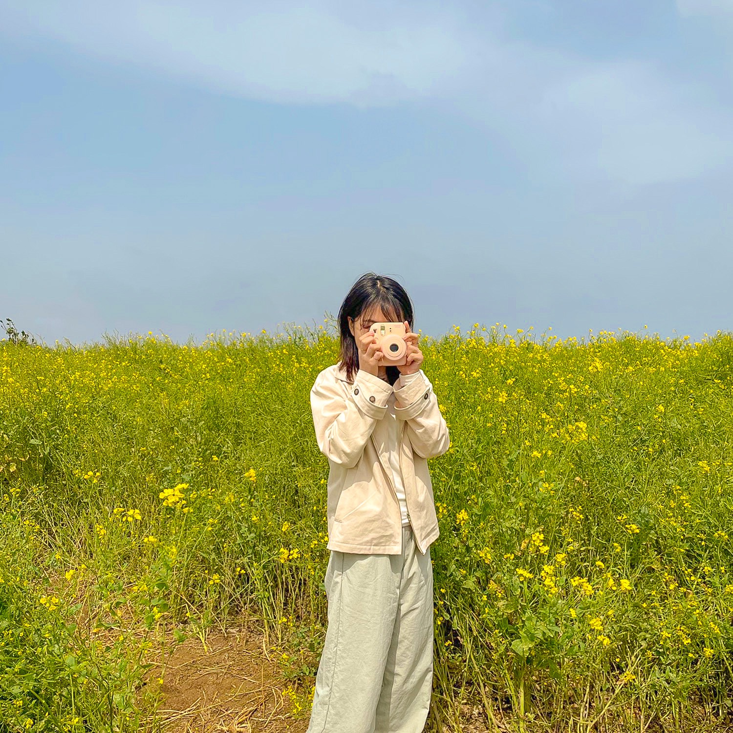 春日摄影景点推荐作为济州旅行地的城山油菜花田