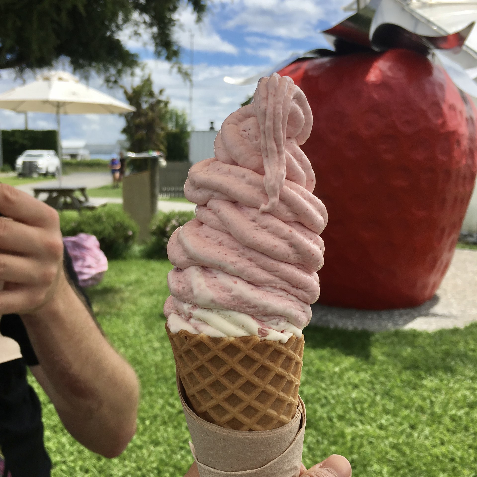 新西兰草莓农场经营的草莓冰淇淋店🍓